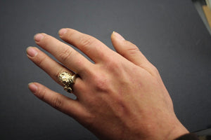 safari lion , silver  or gold