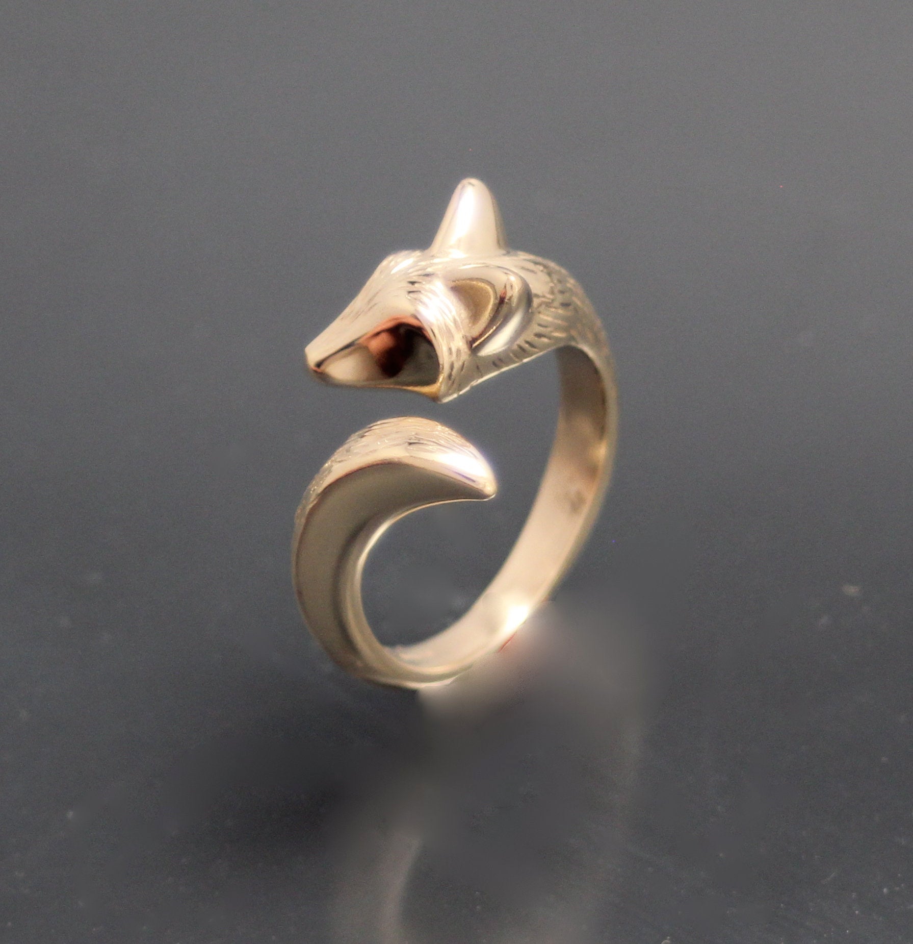 bronze furred baby coyote