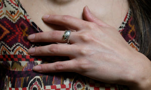 bronze pangolin ring