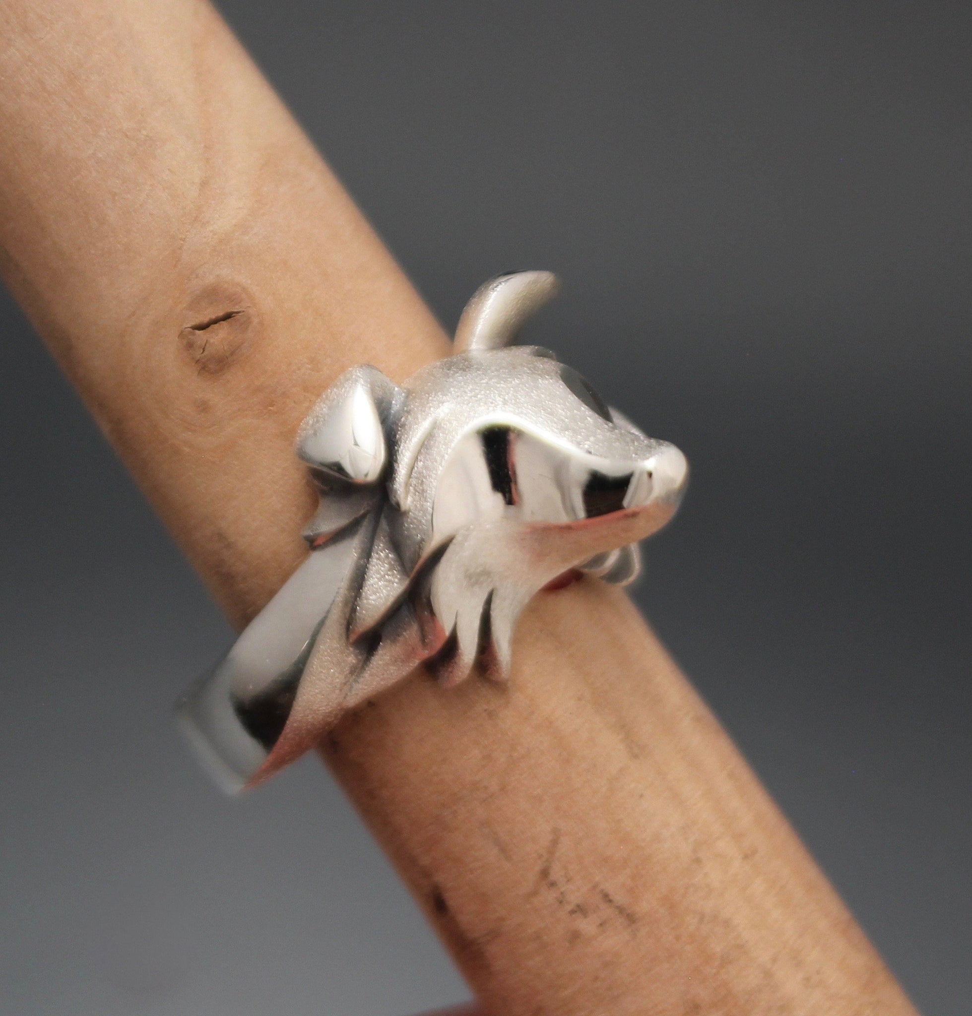silver ring, border collie/Australian Shepard