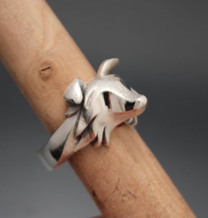 silver ring, border collie/Australian Shepard